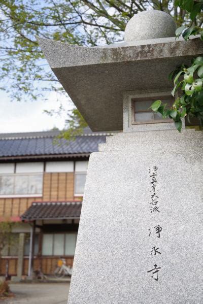 八掛梅|浄土真宗開祖親鸞聖人御旧跡めぐり